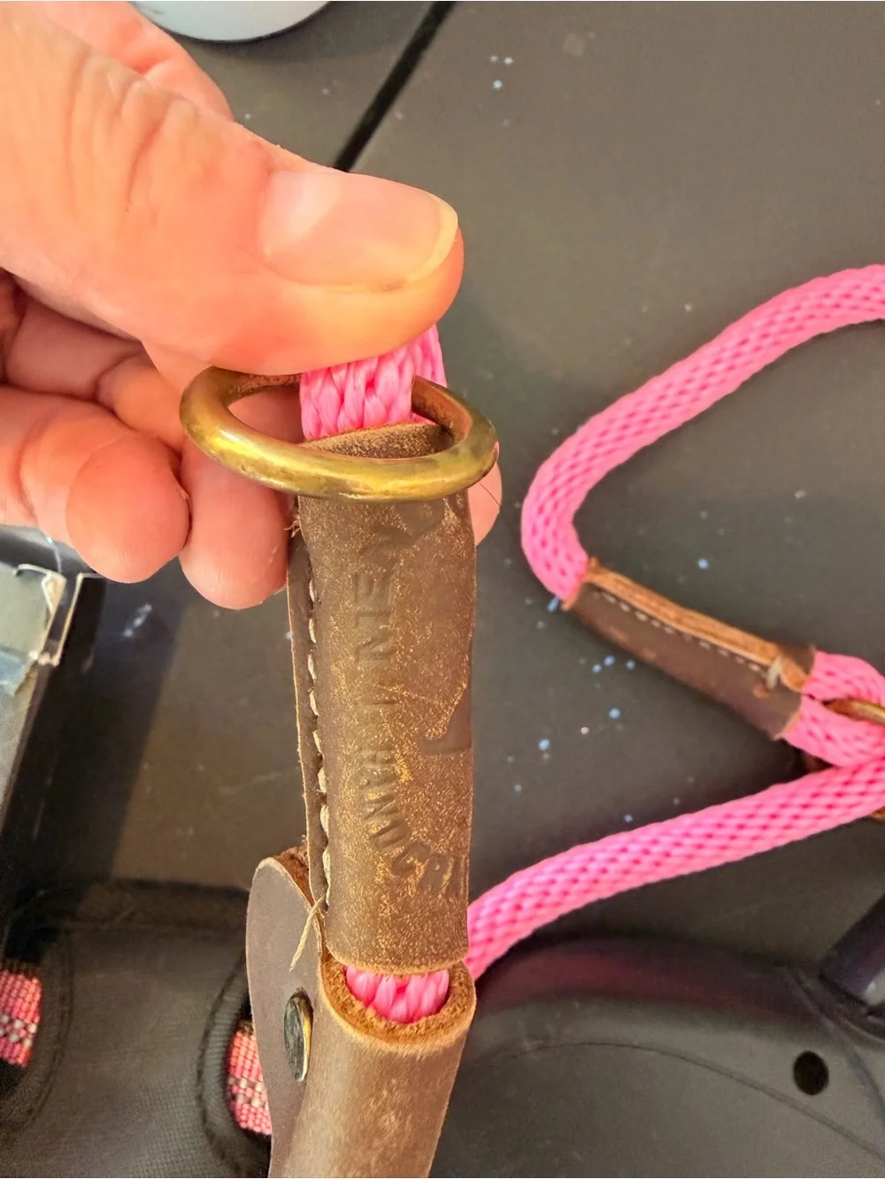 Braided Pink Rope Slip Dog Collar with Leather Accents